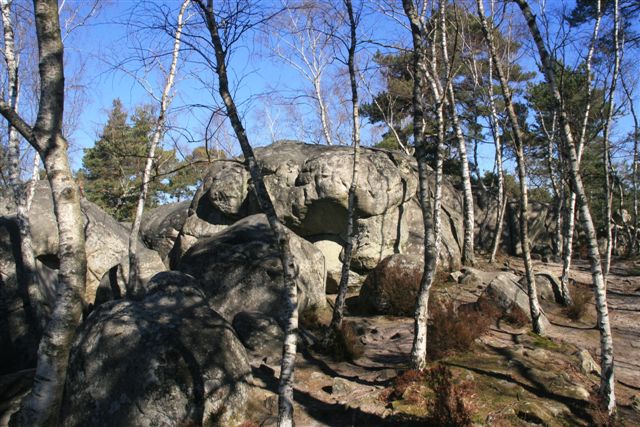 Foret de Fontainebleau - Rochers
